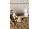 Velikonoční dekorace králíčka s vajíčky na houpačce - 16*3*12 cm Clayre & Eef