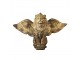 Zlatá antik dekorace socha lev s křídly Lion Gold - 100*50*62 cm Clayre & Eef