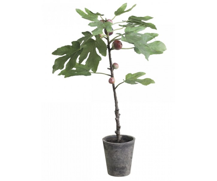 Dekorace umělý Fíkovník v keramickém květináči Old - 76cm Chic Antique