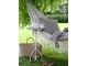 Béžová režná bavlněná hamaka se střapci Hammock - 150*245 cm Chic Antique