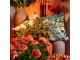 Sametový polšář s dekorem květin Wild Flowers - 30*50*15cm Mars & More 
