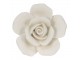 Krémová porcelánová úchytka růže Rosé - Ø 4*4cm Clayre & Eef