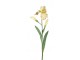 Dekorace umělý žlutý kosatec Iris Pale - 81 cm Ostatn&iacute;