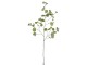 Zelená dekorační větvička s listy Branch Leaf - 124cm J-Line by Jolipa