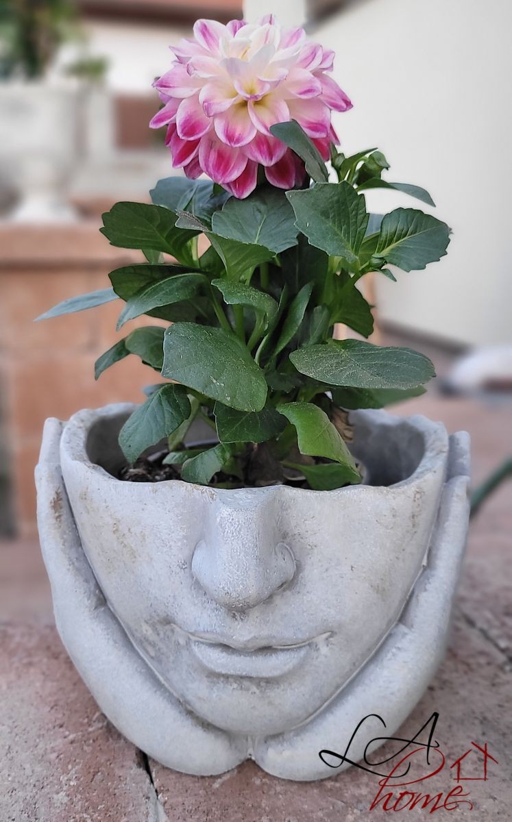 Béžovo-šedý cementový květináč ruce podpírající obličej - 18*18*13 cm Clayre & Eef Béžovo-šedý cementový květináč ruce podpírající obličej - 18*18*13 cm Clayre & Eef