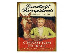 Nástěnná kovová cedule Champion Horses - 20*1*25 cm
