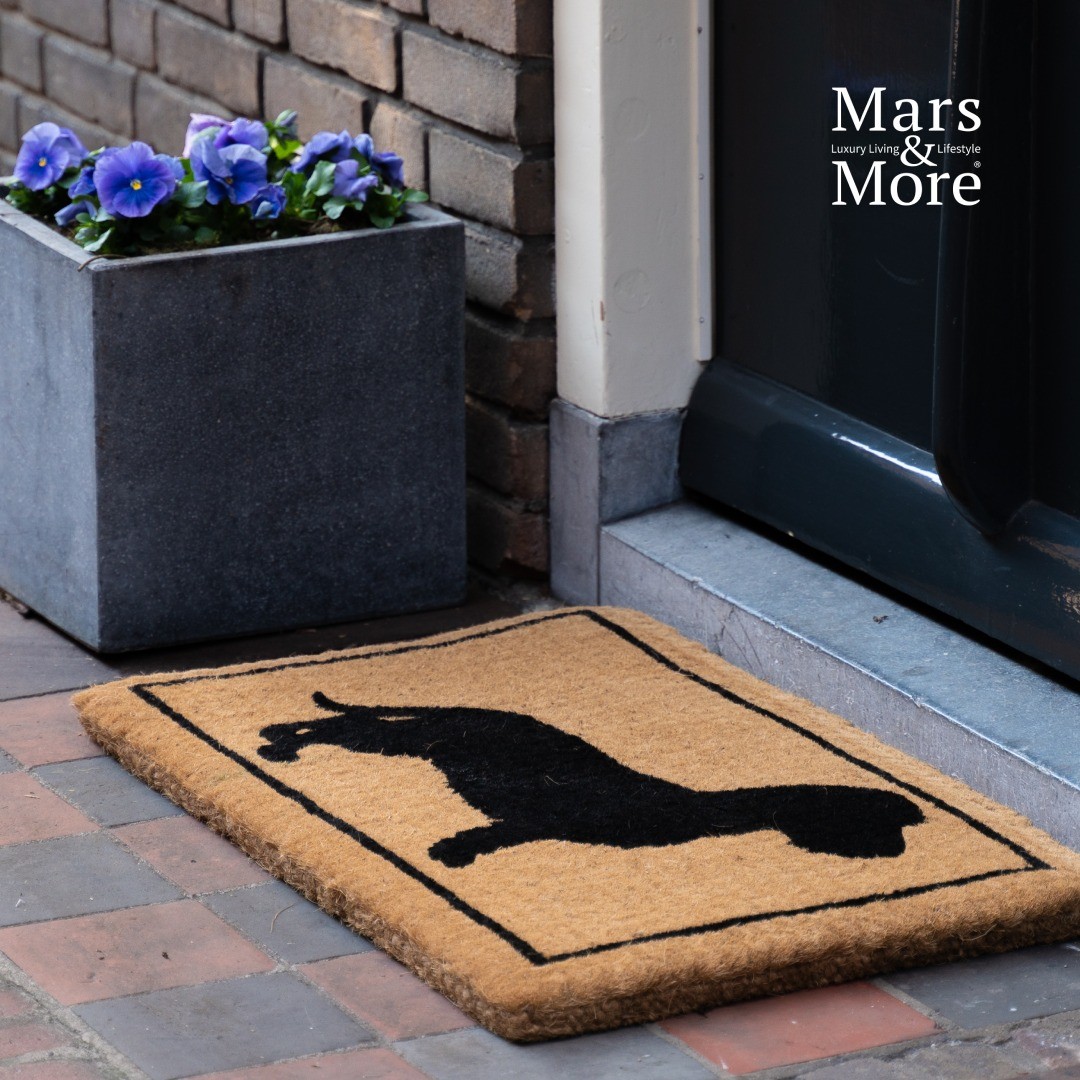 Ručně vyrobená kokosová rohožka s jezevčíkem Dachshund - 75*45*4cm Mars & More Ručně vyrobená kokosová rohožka s jezevčíkem Dachshund - 75*45*4cm Mars & More