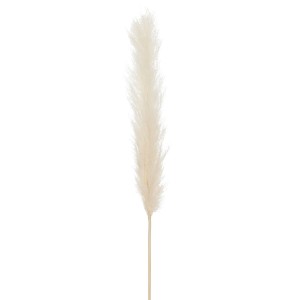 Přírodní vysoká dekorativní tráva - 3*5*145 cm