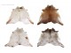 Bílo-hnědý koberec z hovězí kůže Cowhide salt pepper - 200*0,5*240cm/3-4m² J-Line by Jolipa