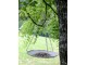 Krémové antik dekorační závěsné krmíko pro ptáčky - 25*43cm Chic Antique