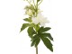 Dekorace umělá bílá květina Delphinium - 10*10*94 cm J-Line by Jolipa