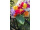 Dekorace umělá bílá květina Delphinium - 10*10*94 cm J-Line by Jolipa