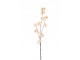 Větvička s lososovými květy Blossom - 80 cm J-Line by Jolipa