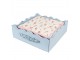 Béžové papírové ubrousky se zmrzlinou Frosty And Sweet - 33*33 cm (20ks) Clayre & Eef