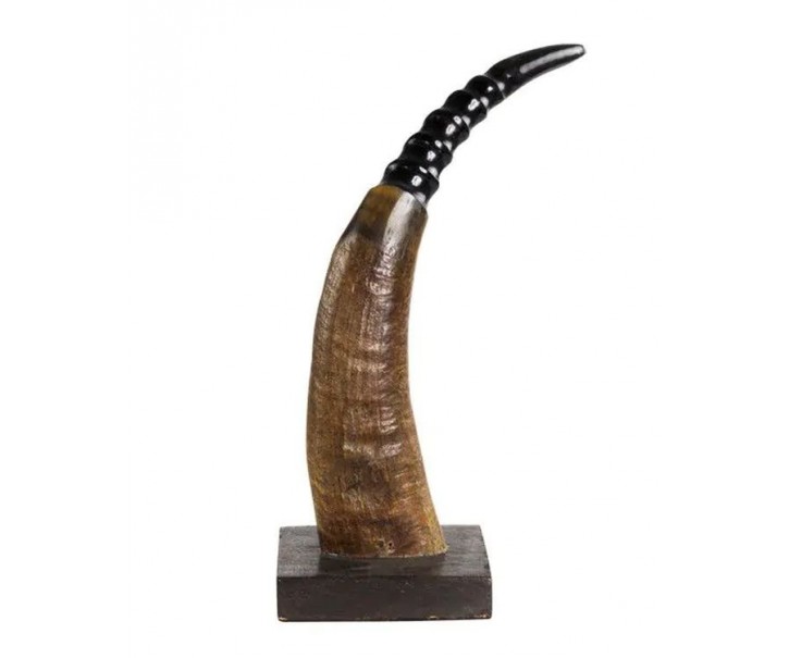 Dekorativní roh Buvol na dřevěném podstavci (bubalus bubalis) - 30cm Mars & More 