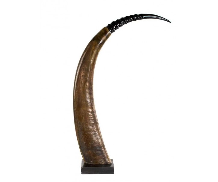 Dekorativní roh Buvol na dřevěném podstavci (bubalus bubalis) - 65cm Mars & More 