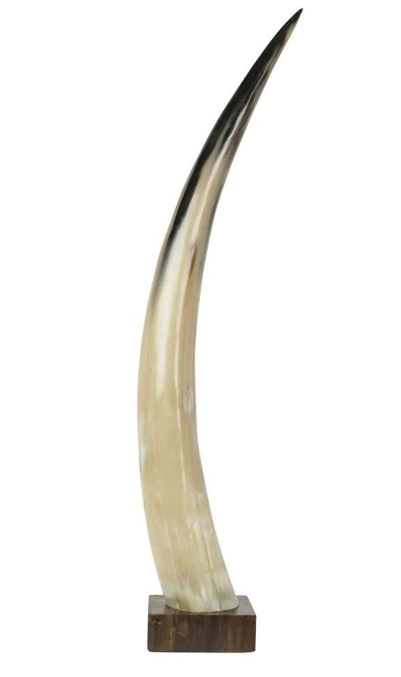 Dekorativní roh Bizon na dřevěném podstavci - 65cm