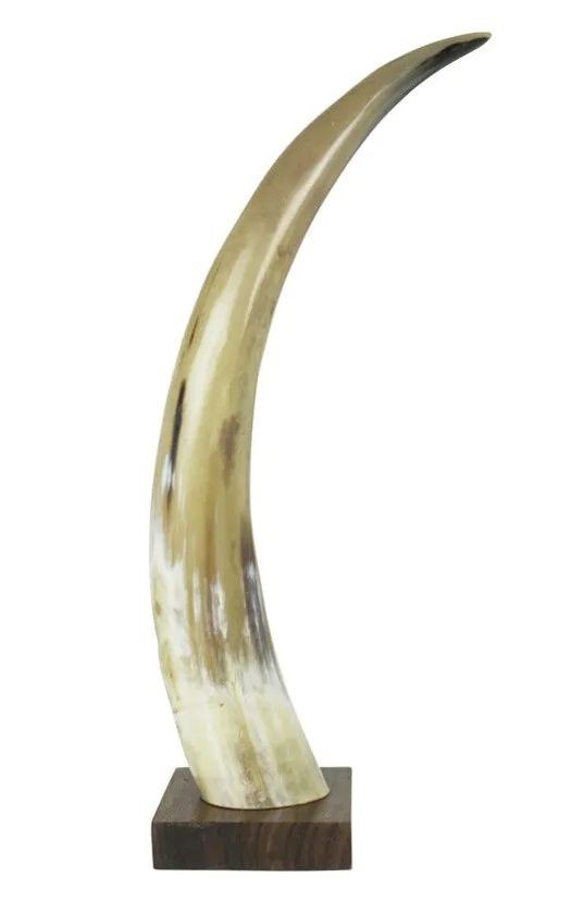 Dekorativní roh Bizon na dřevěném podstavci - 45cm