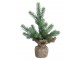Zelený vánoční stromek v jutě Fleur Fir Tree - 27cm Chic Antique