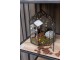 Černý kovový domácí skleník Terrarium - 25*25*38 cm J-Line by Jolipa