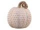 Latté antik dekorace dýně Pumpkin antique - Ø 21*24 cm Chic Antique