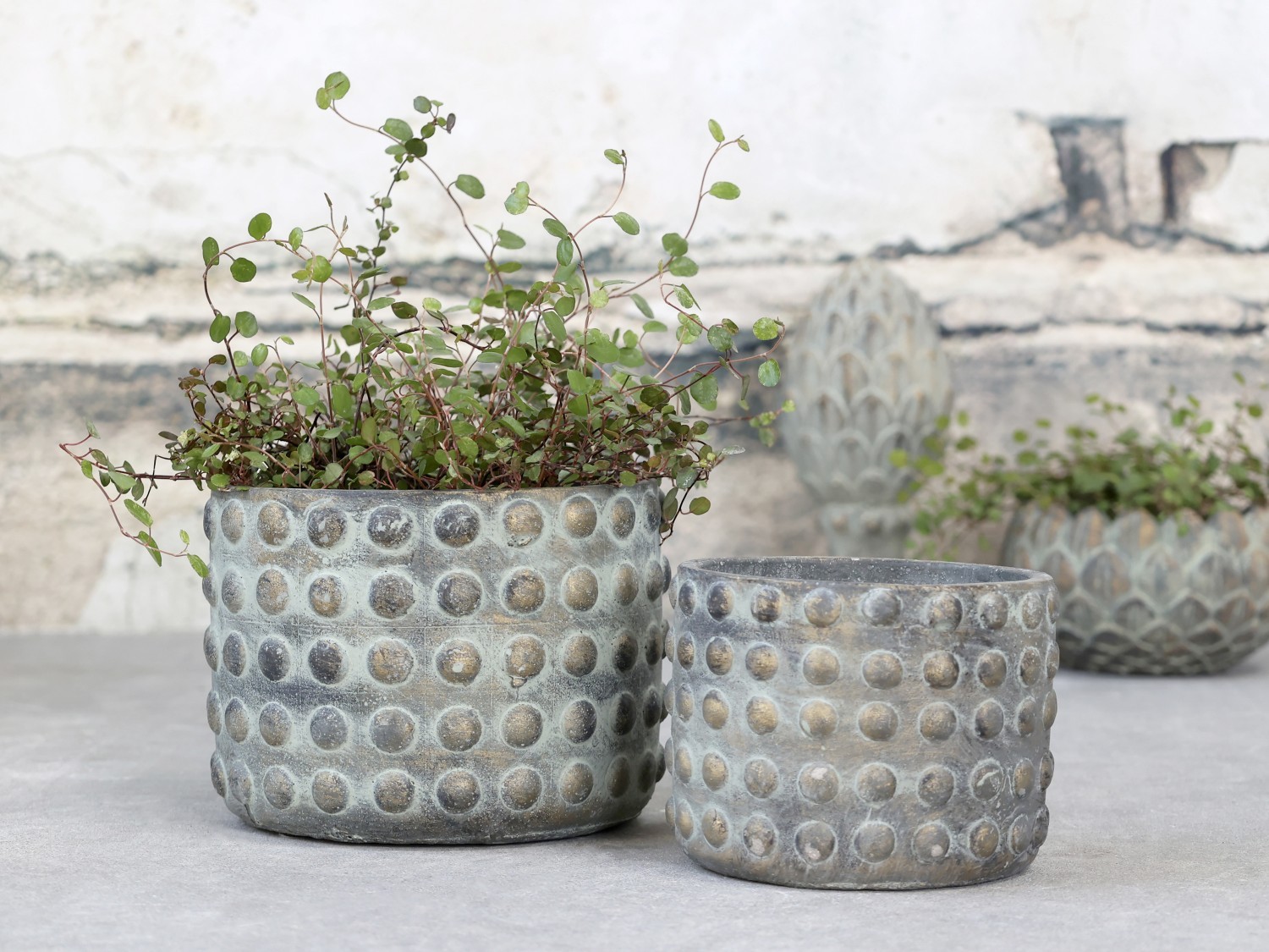 Opálovo-zlatý cementový obal na květináč Noyon - Ø 16,5*12,5cm Chic Antique Opálovo-zlatý cementový obal na květináč Noyon - Ø 16,5*12,5cm Chic Antique