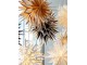 Krémová papírová hvězda Vintage Paper Star v dárkové krabičce - 54*23*54cm Chic Antique
