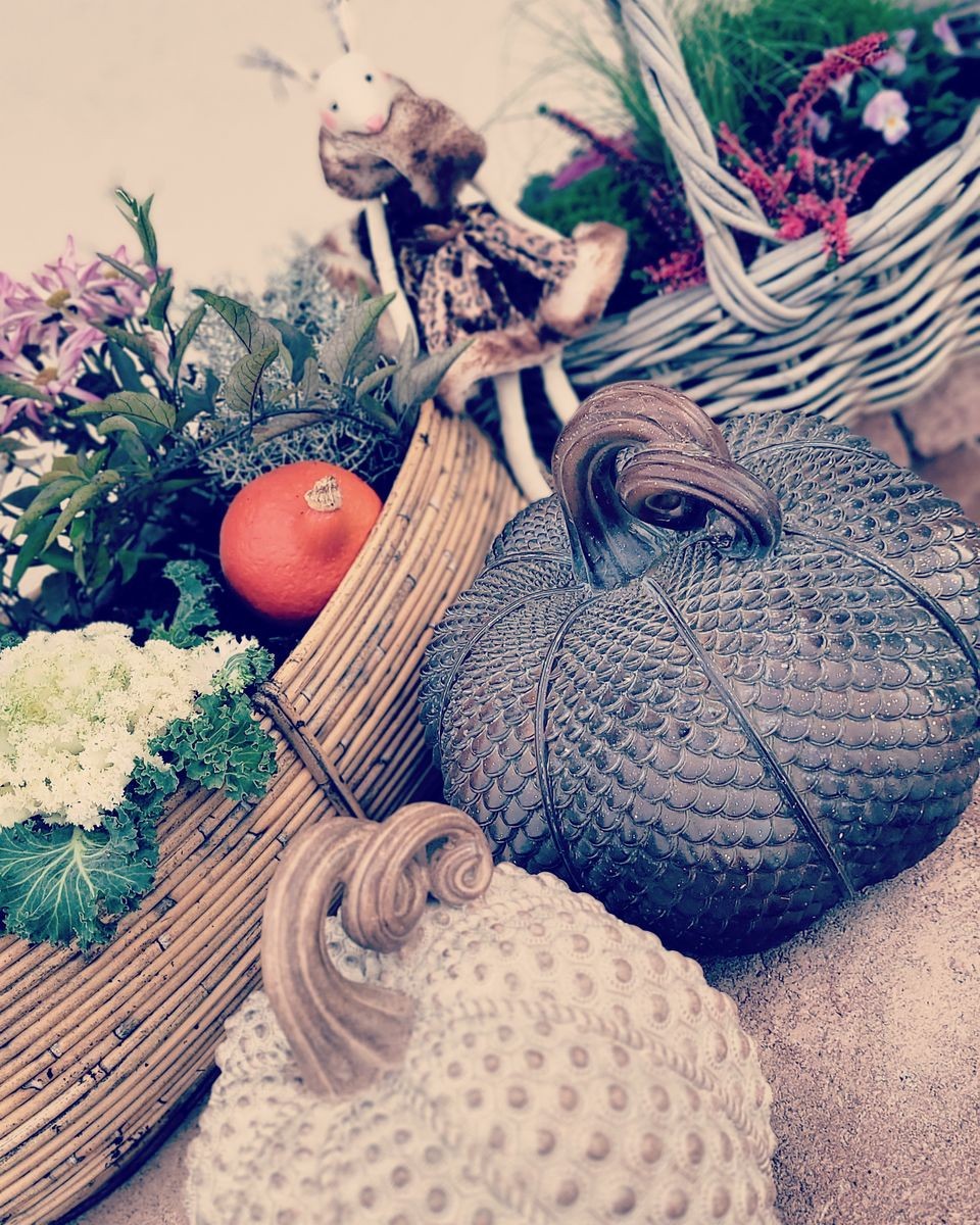 Mocca antik dekorace dýně Pumpkin antique L - Ø 29*25 cm Chic Antique Mocca antik dekorace dýně Pumpkin antique L - Ø 29*25 cm Chic Antique