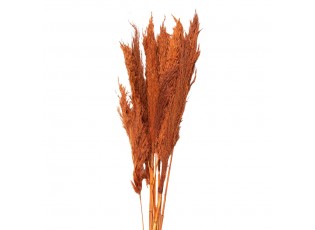 Oranžové sušené květy bambus - 90 cm (10ks)