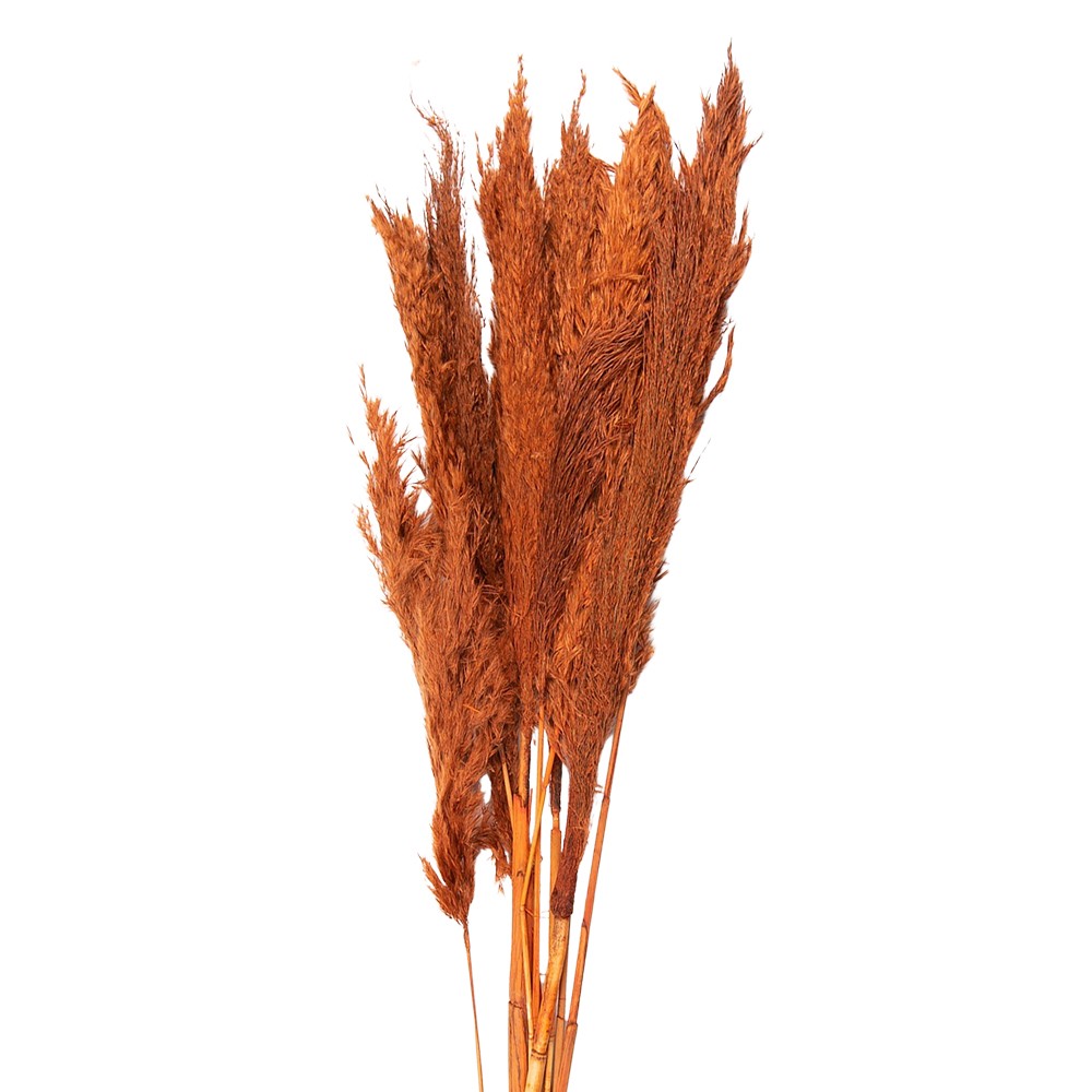Oranžové sušené květy bambus - 90 cm (10ks)