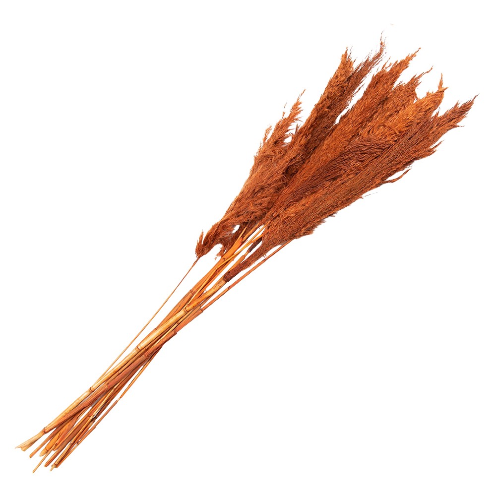Oranžové sušené květy bambus - 90 cm (10ks) Clayre & Eef Oranžové sušené květy bambus - 90 cm (10ks) Clayre & Eef