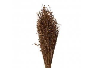 Béžová kytice sušený len - 60 cm (100 gr)