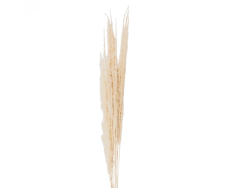 Přírodní béžová kytice sušené květy trávy - 90 cm (10ks) Clayre & Eef