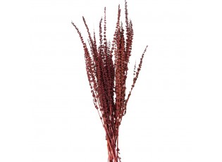 Dekorace vínová sušená květina - 85 cm (100 gr)