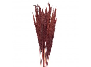Vínová kytice sušené květy bambusu Bamboo - 100 cm (10ks)