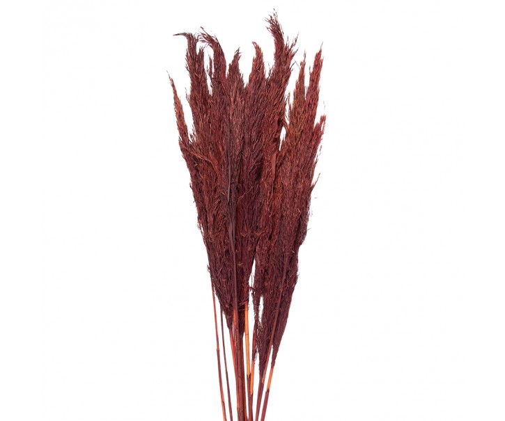 Vínová kytice sušené květy bambusu Bamboo - 100 cm (10ks) Clayre & Eef