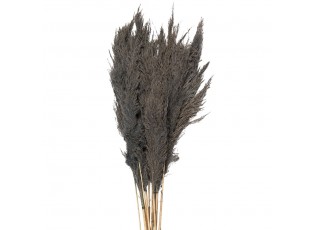 Šedá kytice sušené květy bambusu Bamboo - 100 cm (10ks)