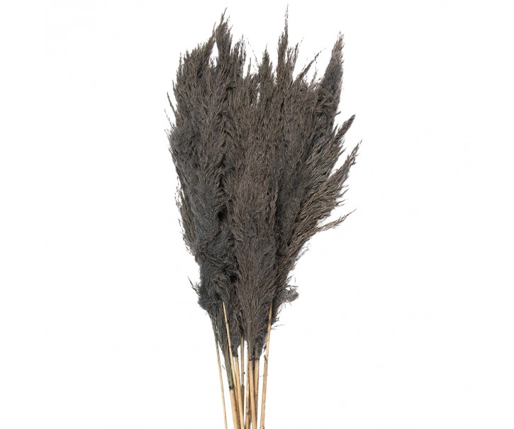 Šedá kytice sušené květy bambusu Bamboo - 100 cm (10ks) Clayre & Eef