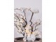 Dekorace soška králík na vajíčku tříkolce - 11*8*13 cm Clayre & Eef