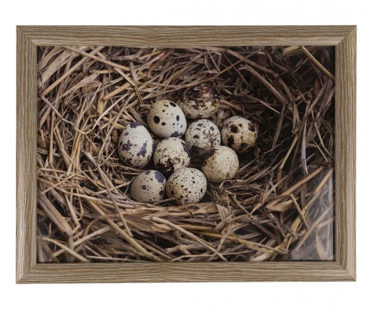 Podnos na nohy s křepelčími vajíčky v hnízdě Egg - 43*33*7cm Mars & More 