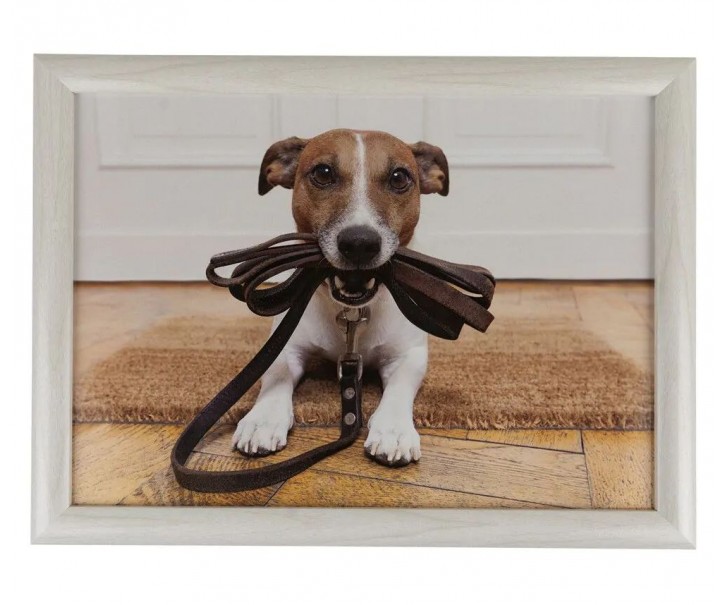 Podnos na nohy se psem Jack Russell - 43*33*7cm Mars & More 