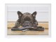 Podnos na nohy s buldočkem French Bulldog humour - 43*33*7cm Mars & More 