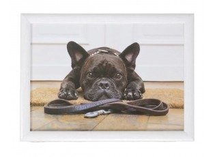 Podnos na nohy s buldočkem French Bulldog humour - 43*33*7cm