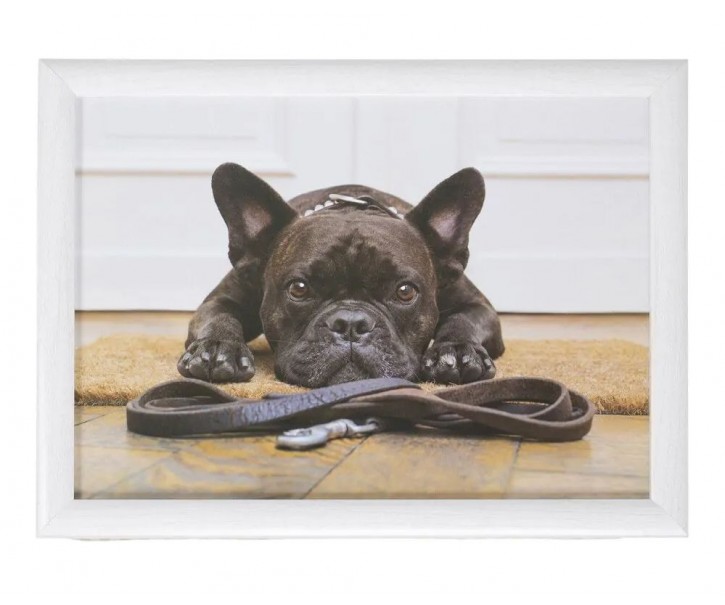 Podnos na nohy s buldočkem French Bulldog humour - 43*33*7cm Mars & More 