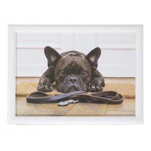 Podnos na nohy s buldočkem French Bulldog humour - 43*33*7cm