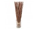 Hnědá sušená kytice stonky - 60 cm Clayre & Eef