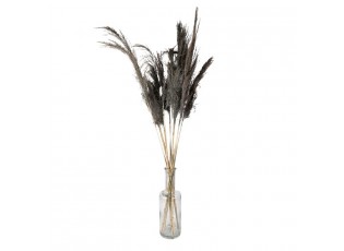 Šedá kytice sušené květy bambusu Bamboo - 100 cm (10ks)