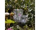 Barevný skleněný svícen Wild Flowers Butterfly M - Ø 10*12,5cm Mars & More 