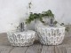 Bílo - zlatá antik olejová lampa Vittel - Ø 18*8 cm/ 90ml Chic Antique