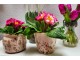 Keramický obal na květináč s lučními květy Flowers of Love M - Ø14*13 cm Clayre & Eef